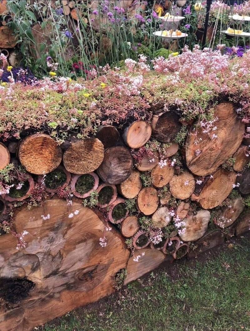 natuurlijke tuinafscheiding stappelmuur - stapelblokken met plantjes - sedummuur voorbeelden - insectenhotel met boomstammen